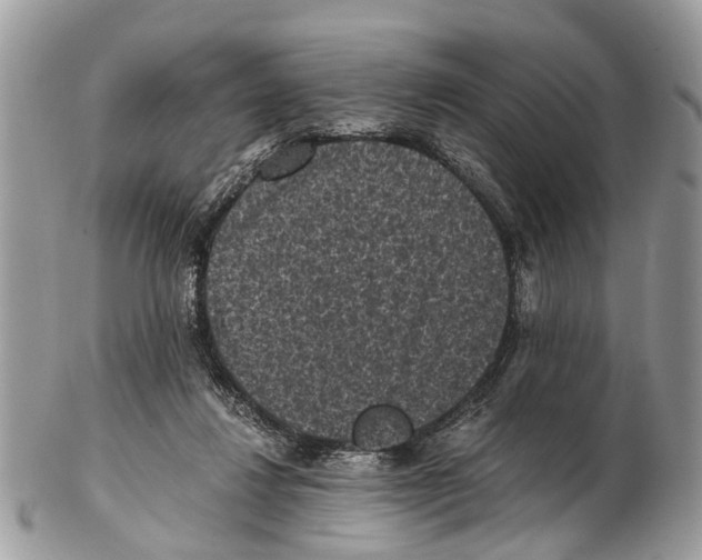 X0000102480260200809051403