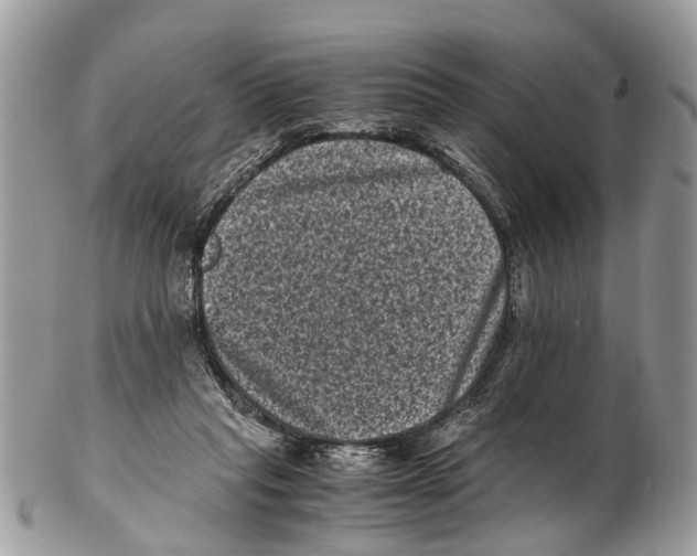 X0000102480261200809051403