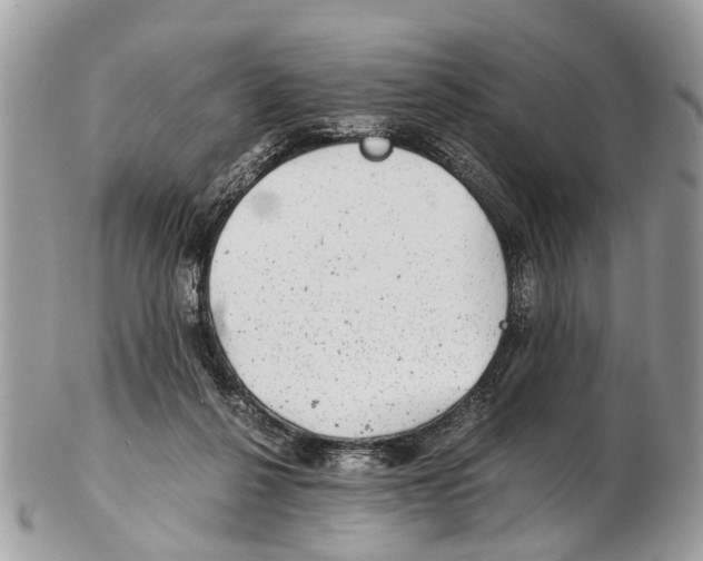 X0000102480264200809051403