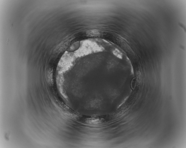 X0000102480267200809051403