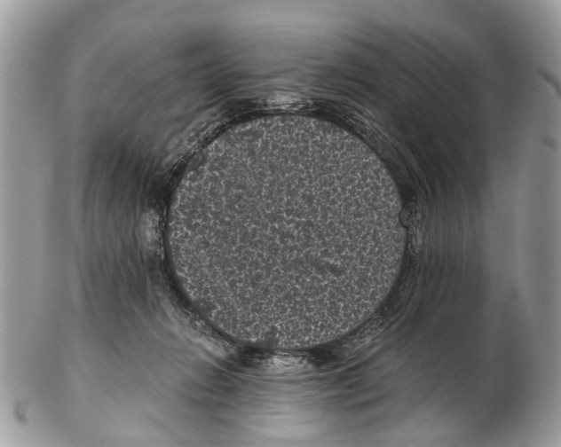 X0000102480270200809051403