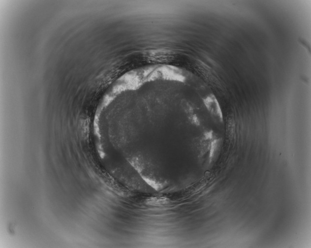 X0000102480271200809051403