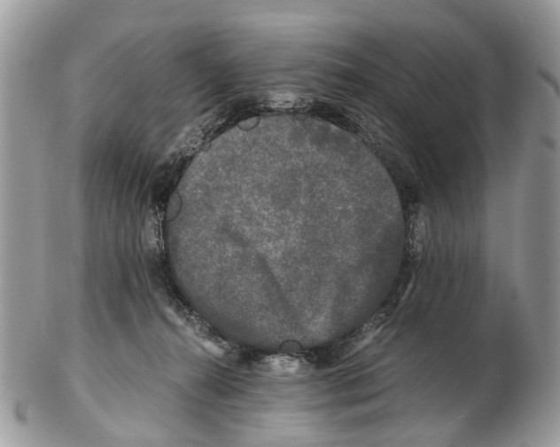 X0000102480272200809051403