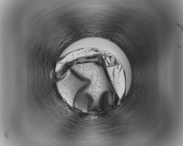 X0000102480276200809051403