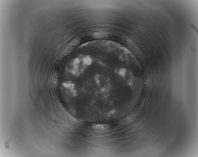 X0000102480277200809051403