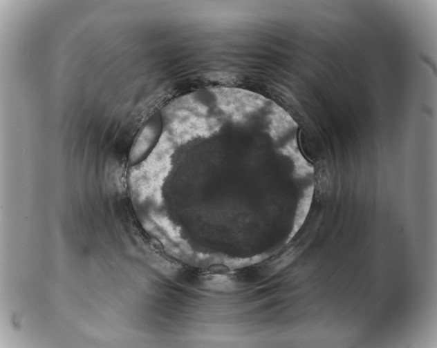 X0000102480285200809051403