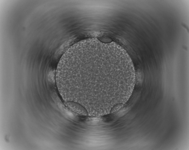 X0000102480286200809051403