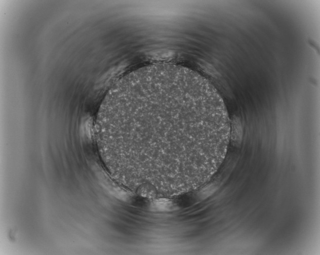 X0000102480287200809051403