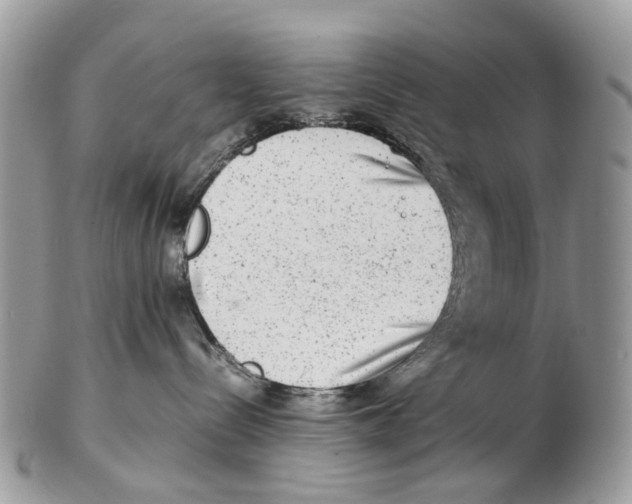 X0000102480288200809051403