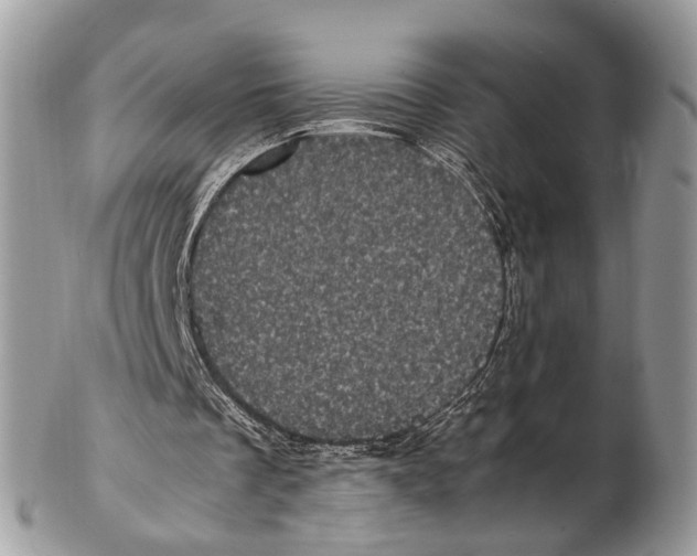 X0000102480289200809051403