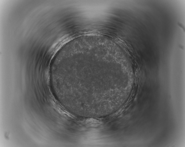 X0000102480290200809051403