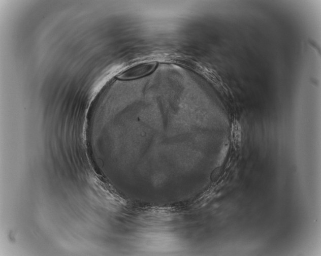 X0000102480292200809051403