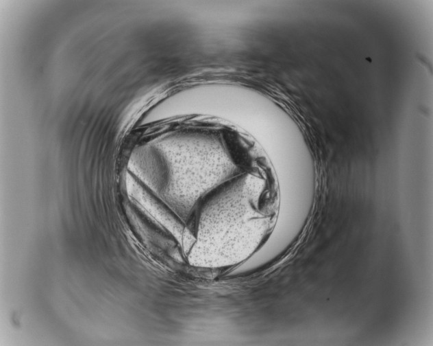 X0000102480293200809051403