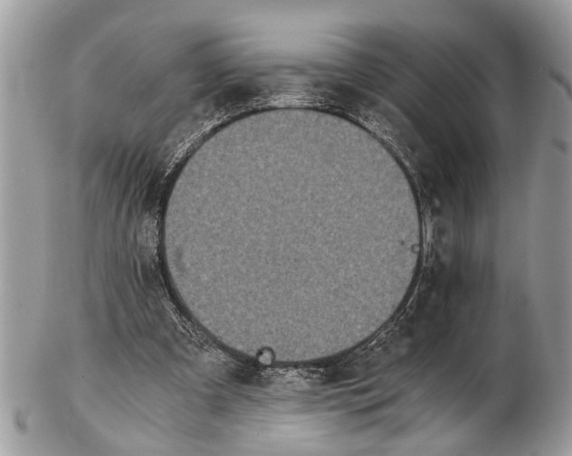 X0000102480297200809051402