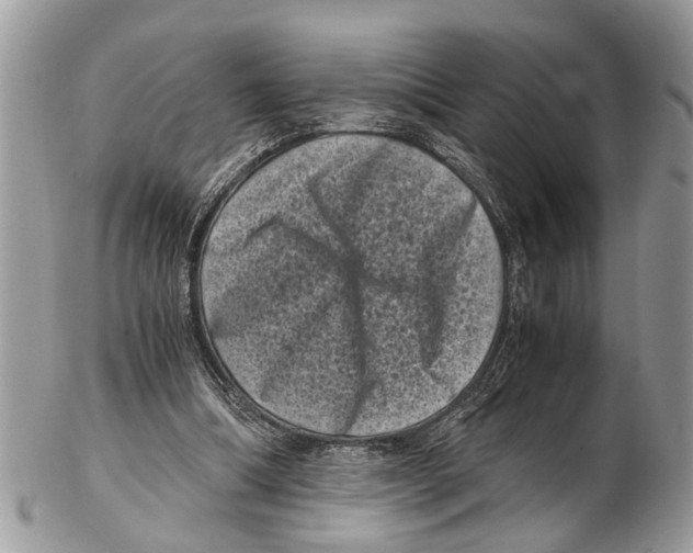 X0000102480298200809051402