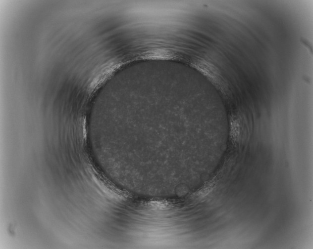 X0000102480302200809051402