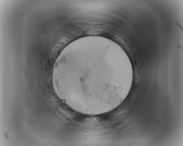 X0000102480307200809051402