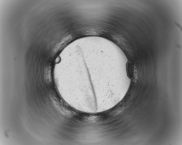 X0000102480312200809051402