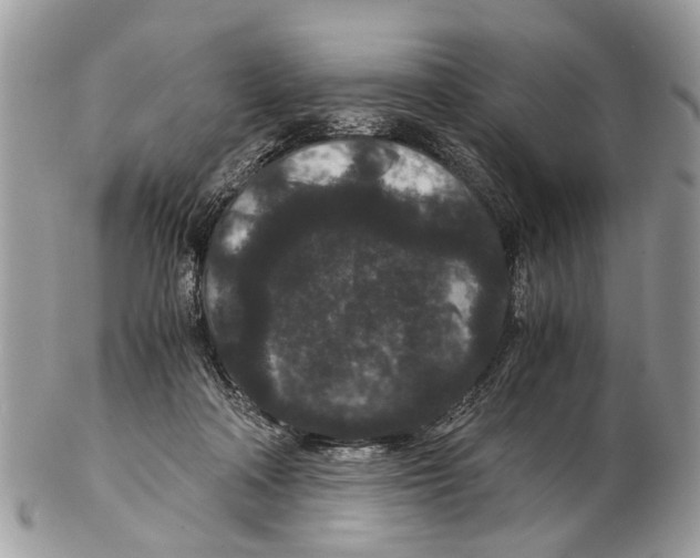 X0000102480314200809051402