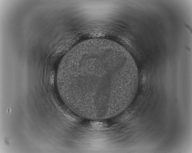 X0000102480315200809051402