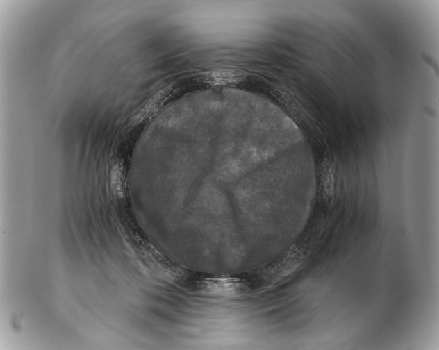 X0000102480316200809051402