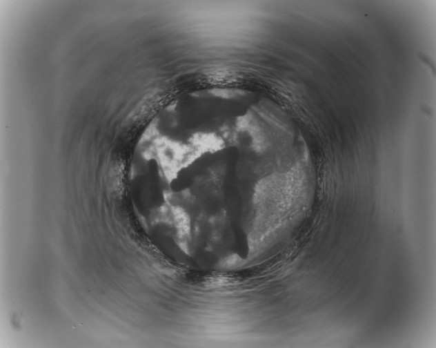 X0000102480319200809051402