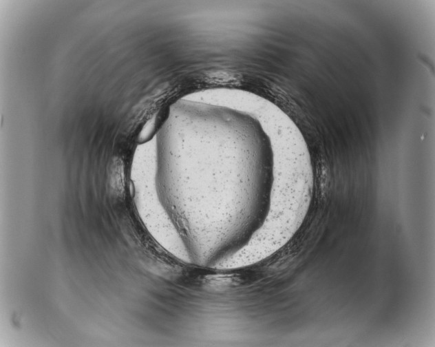 X0000102480320200809051402