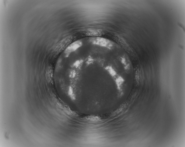 X0000102480322200809051402