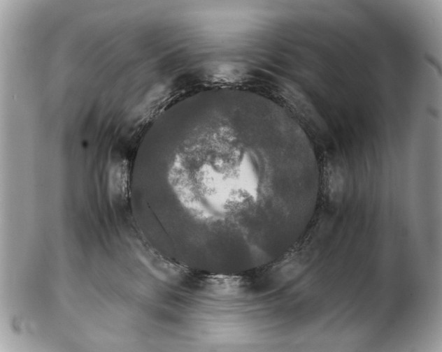 X0000102480328200809051402