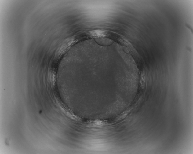 X0000102480330200809051402