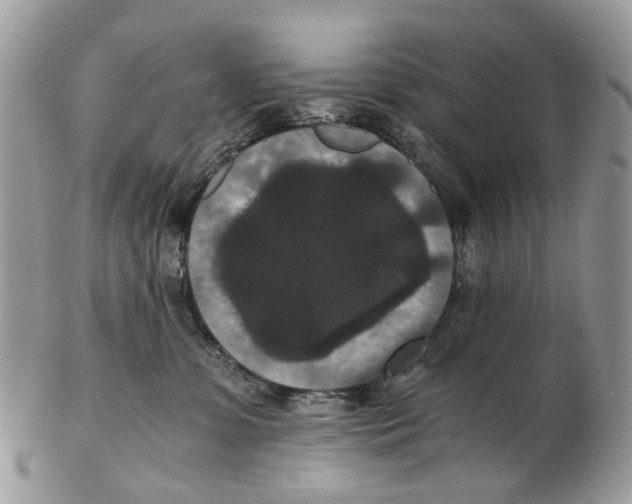 X0000102480331200809051402