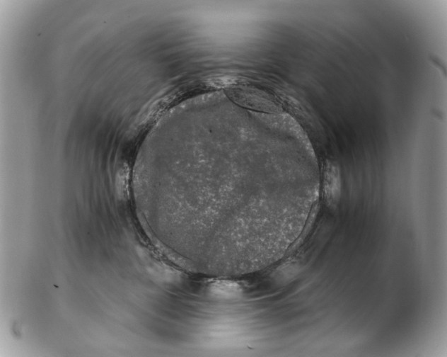 X0000102480332200809051402