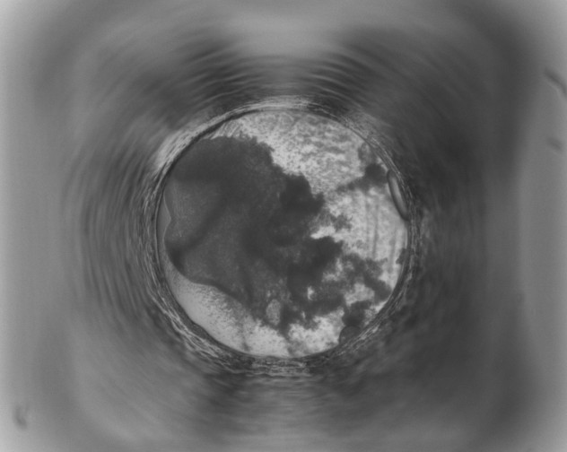 X0000102480337200809051401