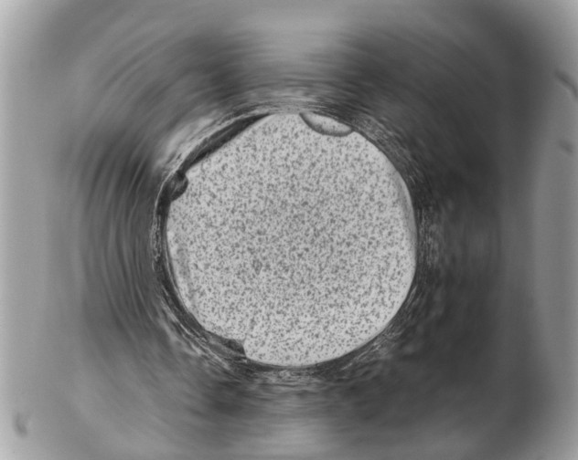 X0000102480338200809051401