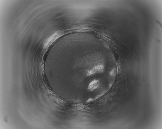 X0000102480339200809051401