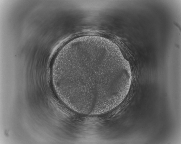 X0000102480342200809051401