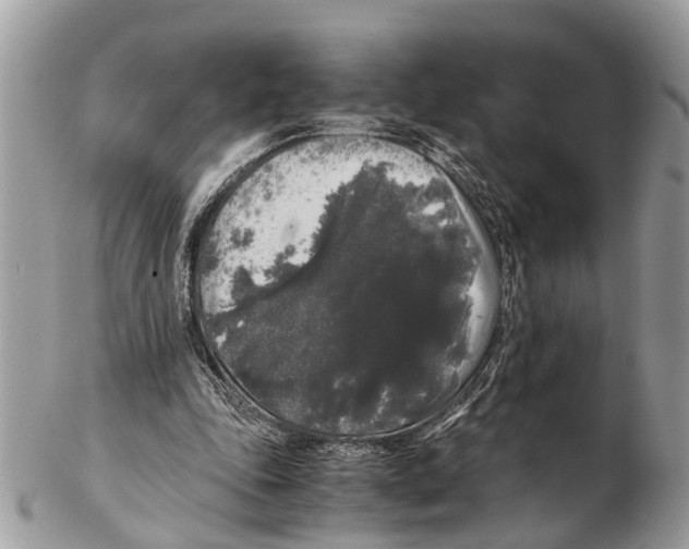 X0000102480343200809051401