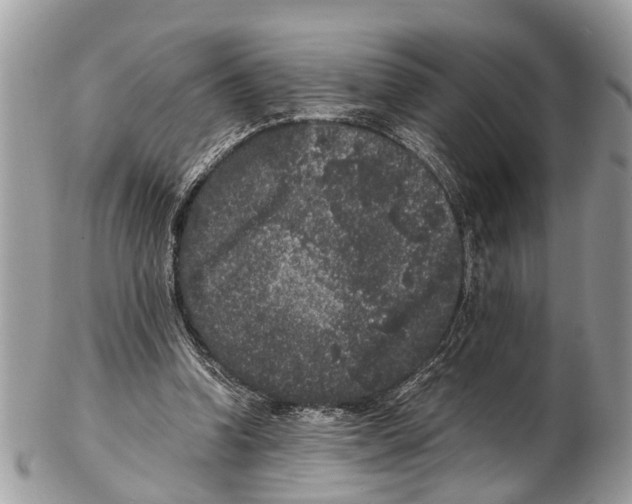 X0000102480346200809051401