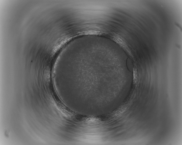 X0000102480348200809051401