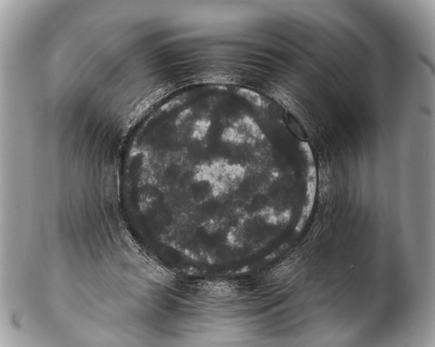 X0000102480349200809051401