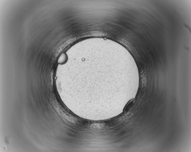 X0000102480350200809051401