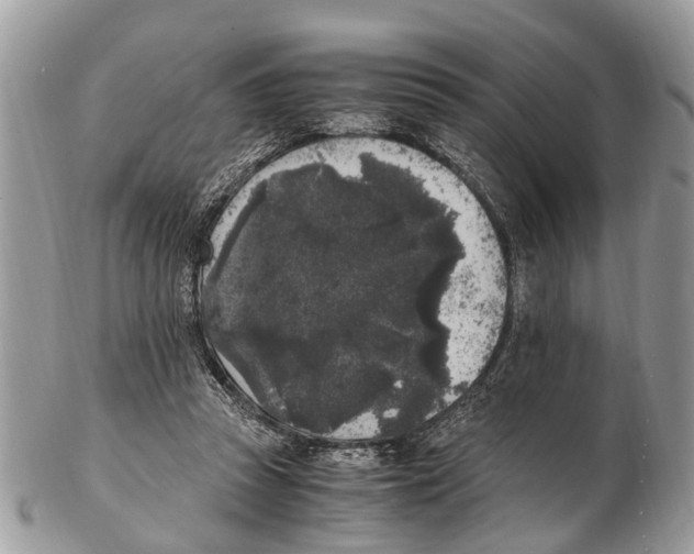 X0000102480353200809051401