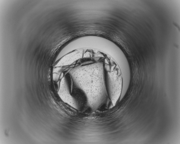 X0000102480356200809051401