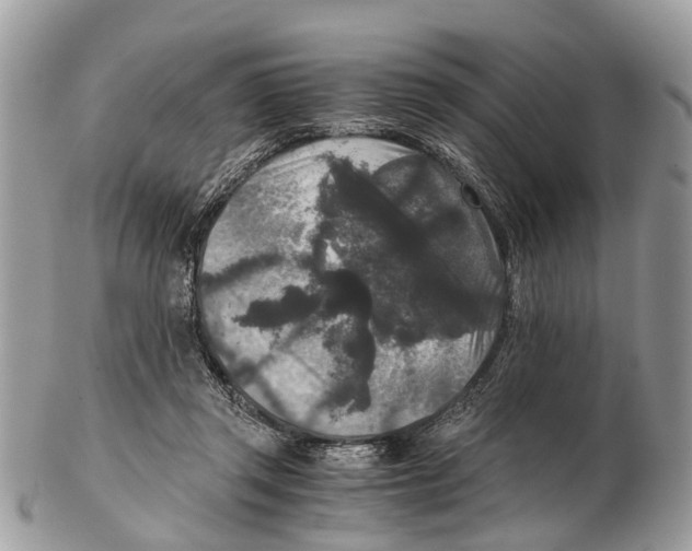 X0000102480357200809051401