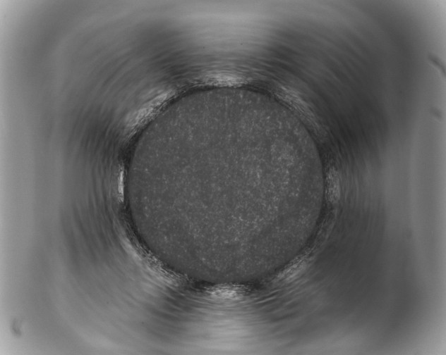 X0000102480358200809051401