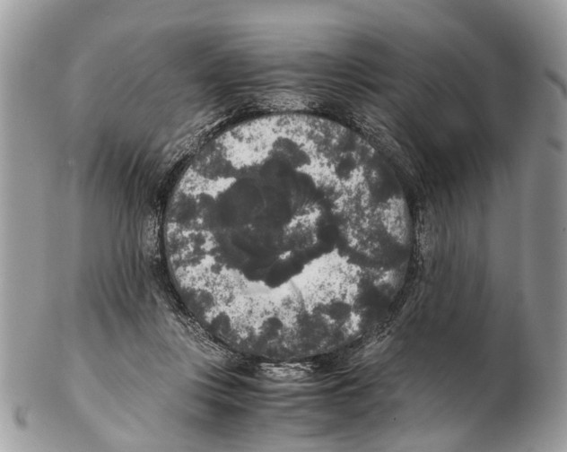 X0000102480359200809051401