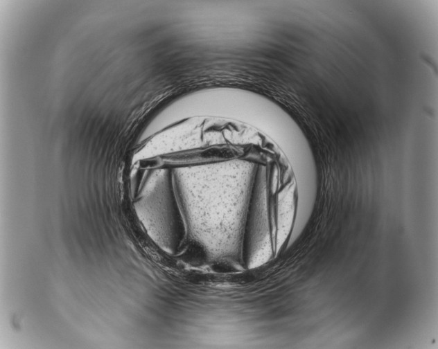 X0000102480360200809051401