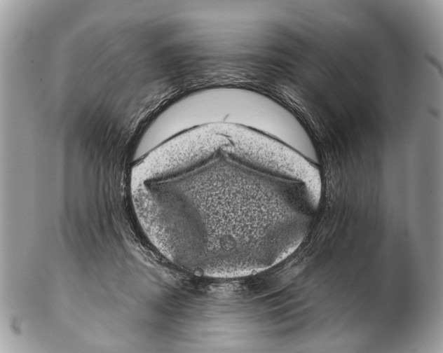 X0000102480362200809051402