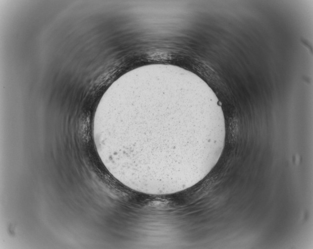 X0000102480364200809051402