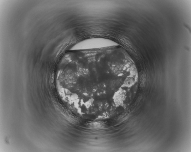 X0000102480365200809051402